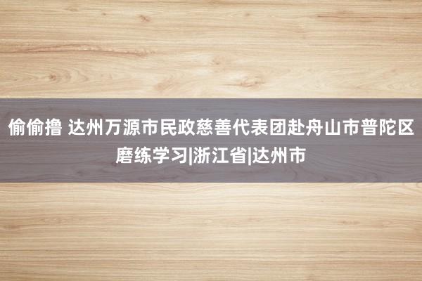 偷偷撸 达州万源市民政慈善代表团赴舟山市普陀区磨练学习|浙江省|达州市