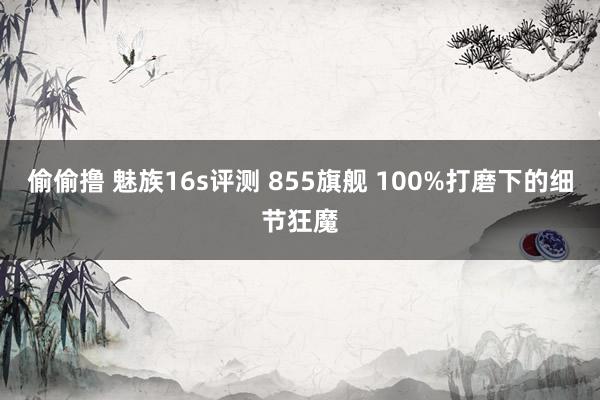 偷偷撸 魅族16s评测 855旗舰 100%打磨下的细节狂魔