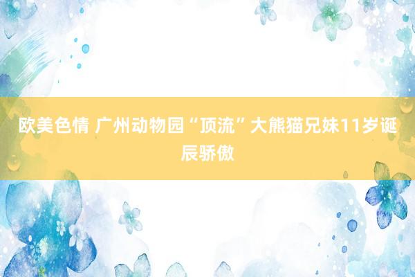 欧美色情 广州动物园“顶流”大熊猫兄妹11岁诞辰骄傲