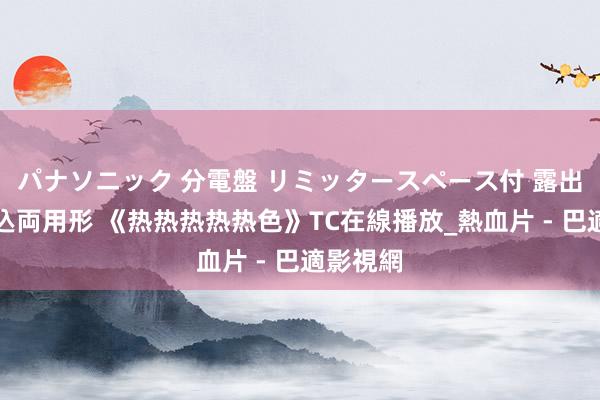 パナソニック 分電盤 リミッタースペース付 露出・半埋込両用形 《热热热热热色》TC在線播放_熱血片 - 巴適影視網