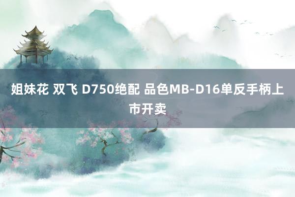 姐妹花 双飞 D750绝配 品色MB-D16单反手柄上市开卖