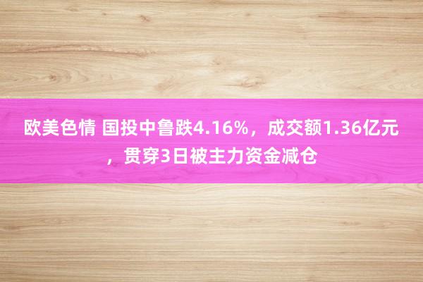 欧美色情 国投中鲁跌4.16%，成交额1.36亿元，贯穿3日被主力资金减仓