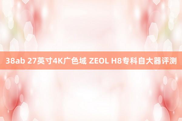 38ab 27英寸4K广色域 ZEOL H8专科自大器评测