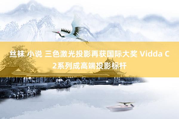 丝袜 小说 三色激光投影再获国际大奖 Vidda C2系列成高端投影标杆