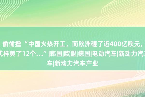 偷偷撸 “中国火热开工，而欧洲砸了近400亿欧元，16个式样黄了12个…”|韩国|欧盟|德国|电动汽车|新动力汽车产业