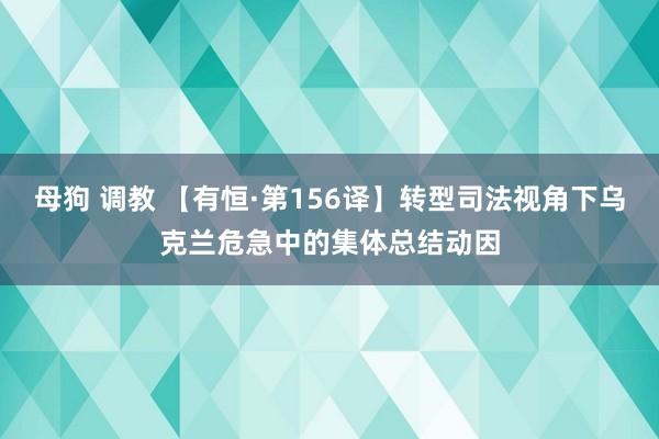 母狗 调教 【有恒·第156译】转型司法视角下乌克兰危急中的集体总结动因